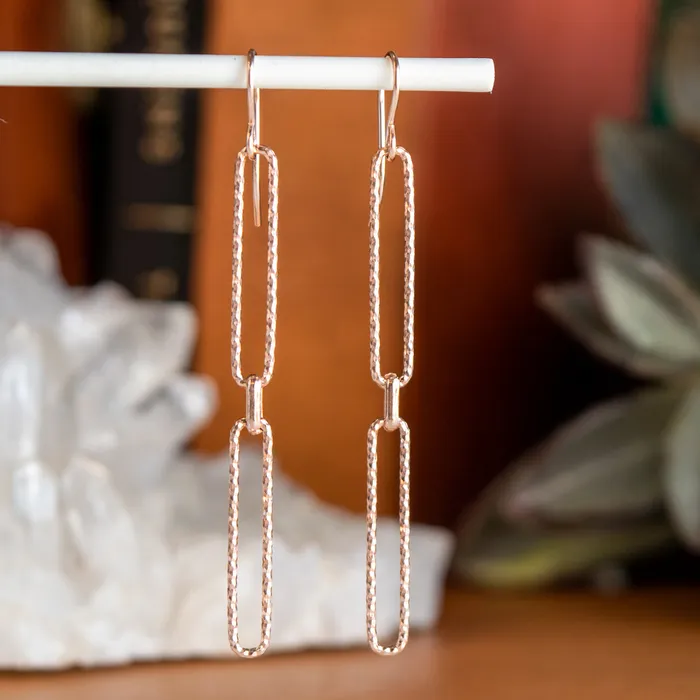 Elisa Ilana Earrings Elongated Paperclip Earrings