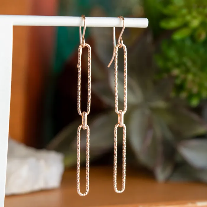 Elisa Ilana Earrings Elongated Paperclip Earrings