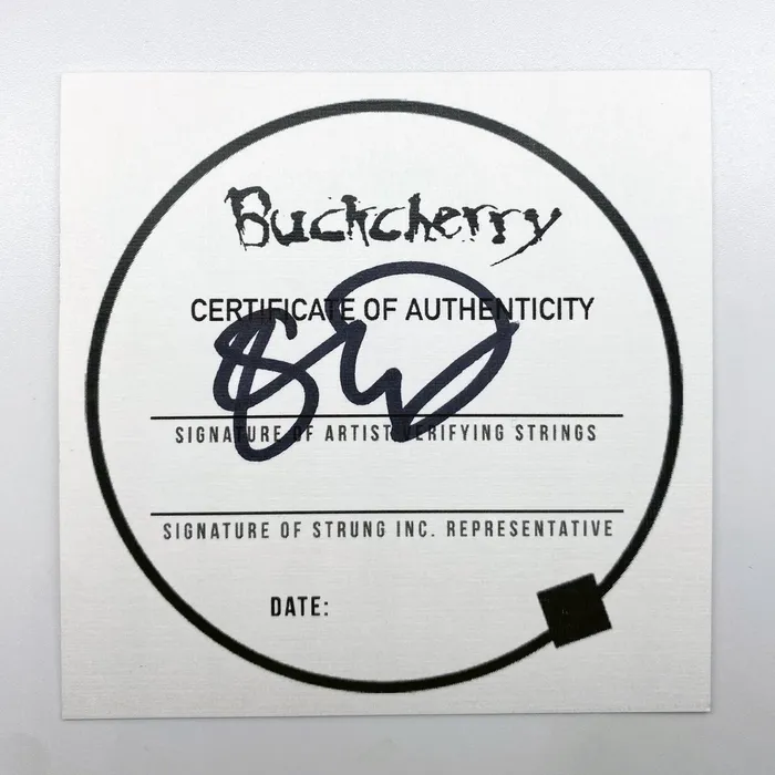 BUCKCHERRY GUITAR STRING BRACELET Strung Bracelets