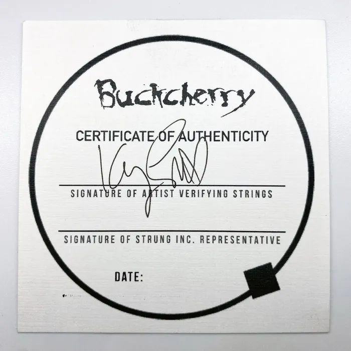 BUCKCHERRY GUITAR STRING BRACELET Strung Bracelets