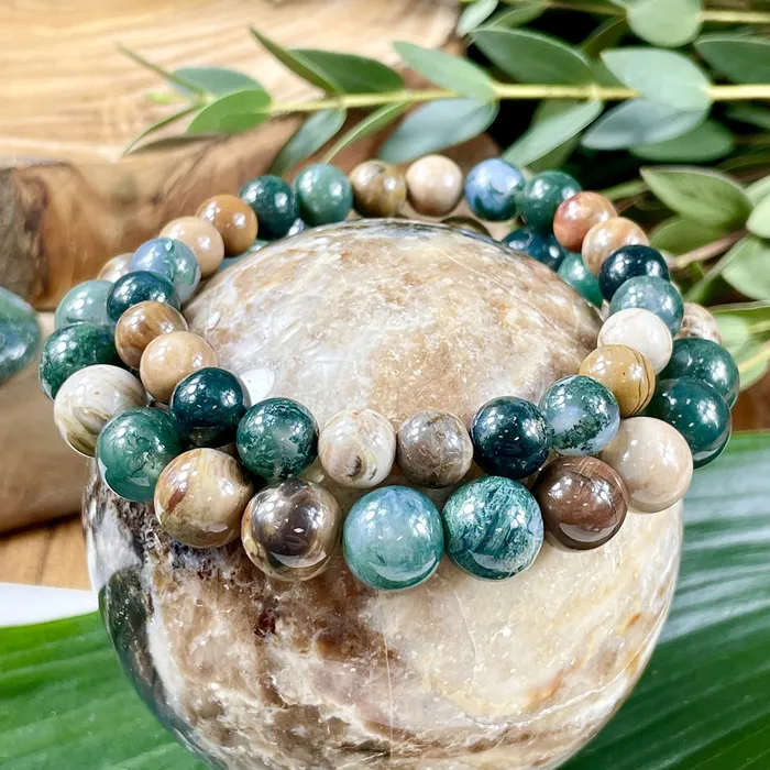 Moss Agate Petrified Wood Wealth Abundance Pain Relief Premium Collection 8mm Stretch Bracelet Lily Rose Jewelry Bracelets